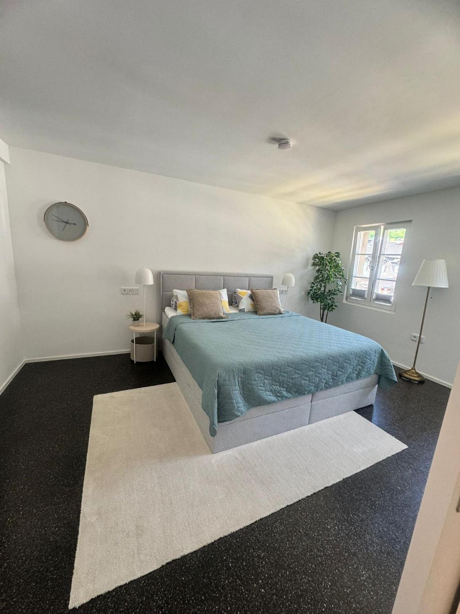 Isaak Appartment Stadtjuwel Waldshut-Tiengen Exterior foto